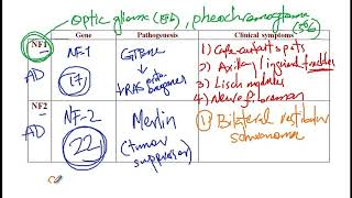 Video 216 Neurofibromatosis Type 1 NF1 amp Type 2 NF2 Genes Pathogenesis and Clinical Symptoms [upl. by Cowen604]