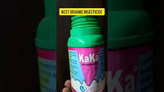 Kaka  The Best Organic Insecticide and Biostimulant for Plants shortvideo shorts [upl. by Noman]