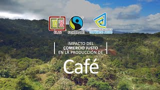 Nicaragua El impacto del Comercio Justo en la producción de CAFÉ [upl. by Remas]