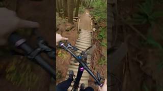 Pingu Rebuild mtb mountainbiking jumps [upl. by Esirehs]