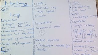 The Fungi and its types yeasts and molds [upl. by Htebsil]