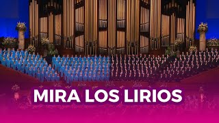 Mira los lirios  Coro del Tabernáculo [upl. by Carbone888]