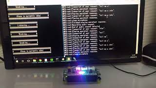 Raspberry Pi Zero W with ReSpeaker 2Mics Hat running Google Assistant amp Alexa simultaneouslyVer2 [upl. by Solon]