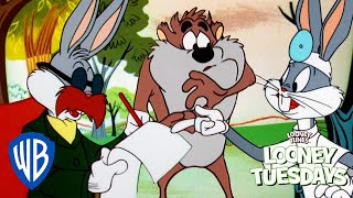 Looney Tuesdays  Bugs Bunny and Tazs Adventures  Looney Tunes  wbkids [upl. by Alisander937]