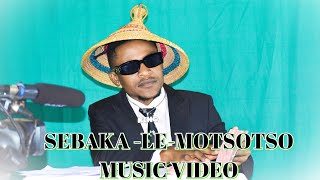 Sebaka Le Motsotso DoggyBeatz Tebogo Official music video [upl. by Alamat]