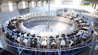 The Incredible Rotary Milking Parlour from Dairymaster [upl. by Egap334]