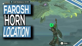 Where To Find Faroshs Horn In Zelda Tears Of The Kingdom [upl. by Nomrej]