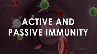 Immunisation and types of immunity  Active and passive immunity [upl. by Bainbridge]