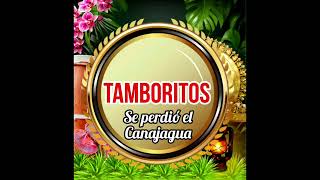 Tamborito se perdió el canajagua [upl. by Dolloff608]