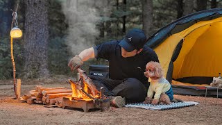 Solo Camping in Forest with My Dog  Roast leg of lamb in the Wild  Wood Stove ASMR [upl. by Cordie]