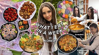 what i eat in a week at my Korean grandma’s house in Busan 🌸 authentic Korean food amp cherry blossoms [upl. by Asikal]