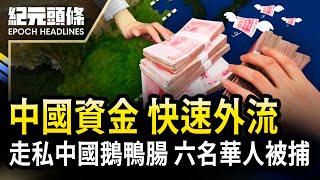 中國資金快速流向海外 觸及境外投資上限；李強兩會上提經濟目標 專家：越發脫離現實；走私中國鵝鴨腸 紐約六名華人被捕【202437紀元頭條】 紀元頭條雪兒主播 [upl. by Isborne]