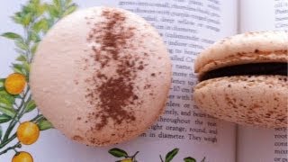 Chocolate Orange Macaron Recipe by Ann Reardon  How To Cook That Ep041 [upl. by Armilla]