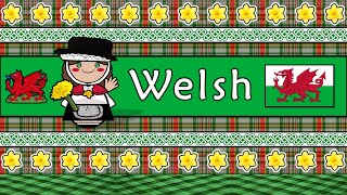 WELSH PEOPLE CULTURE amp LANGUAGE [upl. by Viviana110]