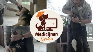 Hoe geef ik mijn hond medicijnen [upl. by Stutman]