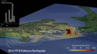 Simulation of the 2016 Mw78 Kaikoura earthquake and response of buildings in Wellington [upl. by Euqinue]