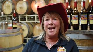 Rhonda Wood Vino Lingo Video Wood Family Vineyards [upl. by Aitropal]