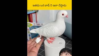 Ethadu oka bird ni cheyathadu facts telugu amazingfacts [upl. by Rockey301]