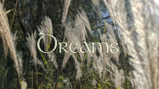 Dreams  The Cranberries Cover  Mia Arsenault [upl. by Nylanej]