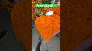 Sundar Flowers Ki Market 🌹🌸 diwali diwalispecial flowers beautiful enjoy shortvideos shorts [upl. by Valentin]