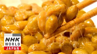 FANTASTIC FERMENTATION Natto Variety  Dig More Japan [upl. by Silda635]