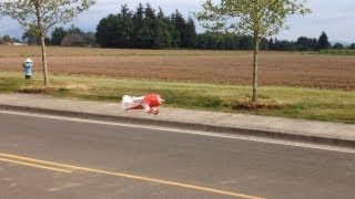 Maiden flight of Parkzone UMX Gee Bee with AS3X Technology by Eflite [upl. by Raycher716]