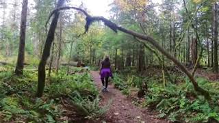 North Cascades Visitor Center River Trail 360 [upl. by Refotsirk379]