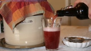 How to Make Fizzy Kombucha at Home [upl. by Coney883]