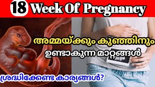 Pregnancy Week By Week Malayalam  18 Weeks Pregnant Malayalam [upl. by Hanah]