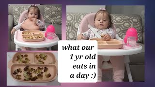 What My 1 Year Old Eats In A Day [upl. by Aradnahc]