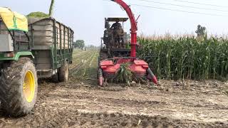 DEP Agro 4 Row Silage Harvester [upl. by Bbor]