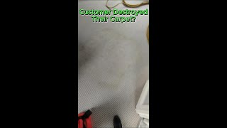 Did Customer DESTROY their carpet [upl. by Icam]