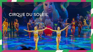 Cirque News  Episode 12  Happy 13000 Shows Mystère  Cirque du Soleil [upl. by Naruq192]