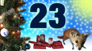 23 Türchen  Adventskalender 2017 [upl. by Ydoow490]