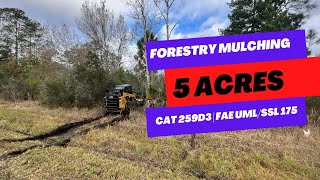 Clearing 5 acres in Florida with Forestry Mulcher for new home build  Tree Shop [upl. by Etheline]