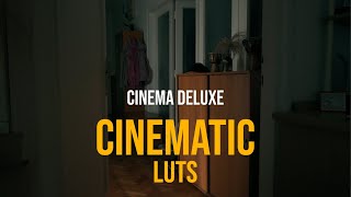 Nikon Z30  Cinematic LUTs 2023 Update [upl. by Derina]