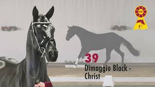 39 Dimaggio Black  Christ [upl. by Nnaylloh]