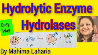 Hydrolytic Enzyme Classification Application nomenclaturesignificance [upl. by Aneeras528]