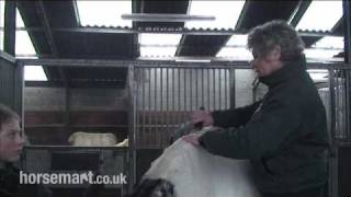 How to Hog a Horses Mane [upl. by Rosie]