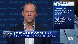 Apples growth will accelerate incrementally each quarter says Morgan Stanleys Erik Woodring [upl. by Kirred]