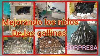 Como mejorar los nidos de las gallinas con 20 pesos [upl. by Hardner]