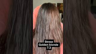 Streax hair colour at home golden blonde 73 streaxprofessional streaxhaircolour streaxindia [upl. by Tatiana]