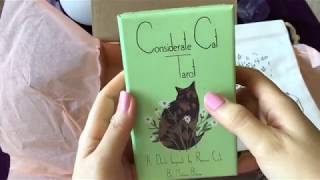 27 Considerate Cat Tarot 開封動画🌟 コンシダレートキャットタロット開封、セルフリーディング＆プチリーディング🌟 [upl. by Yurt]