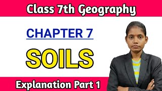 Soils explanation in hindi part 1  Class 7th geography chapter 7 maharashtra board [upl. by Felicio]