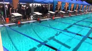 Boys and Girls Swimming Championships [upl. by Scheers]