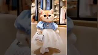 Cut and beautiful cat shopping mallUk shopping mallviralvideo shopping [upl. by Enail]