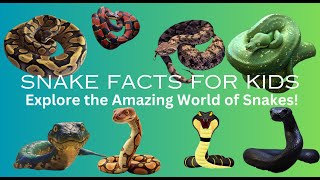 Snake Facts for Kids Explore the Amazing World of Snakes [upl. by Aivonas]