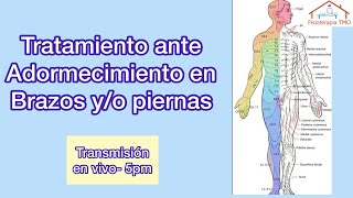 Tratamiento ante adormecimiento en brazos yo piernas [upl. by Elacim81]