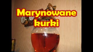 Marynowane kurki  Kwestia Smaku [upl. by Charity]