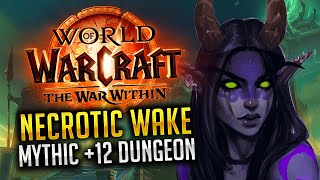 Havoc DH 12 Necrotic Wake Mythic  Havoc Demon Hunter The War Within Season 1 [upl. by Novla]